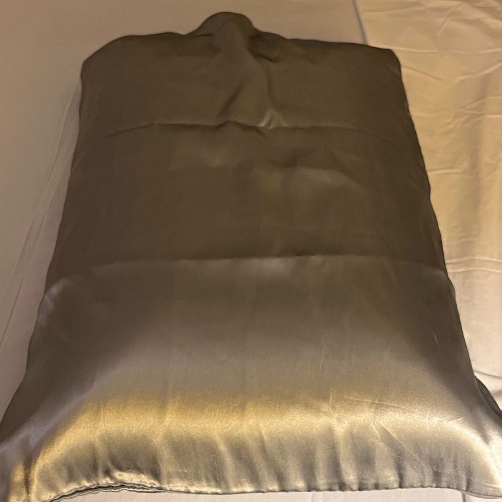 Laundry By Shelli Segal Metallic Silver Silk Feel Pillow Case